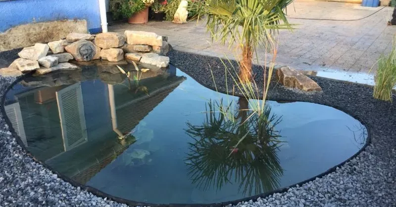 Aménagement extérieur - Paysage Exotic (1)